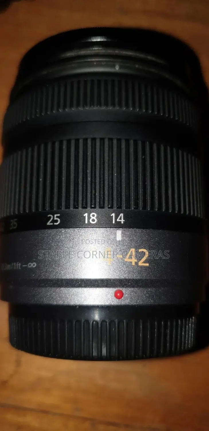 Panasonic 14-42mm Lens