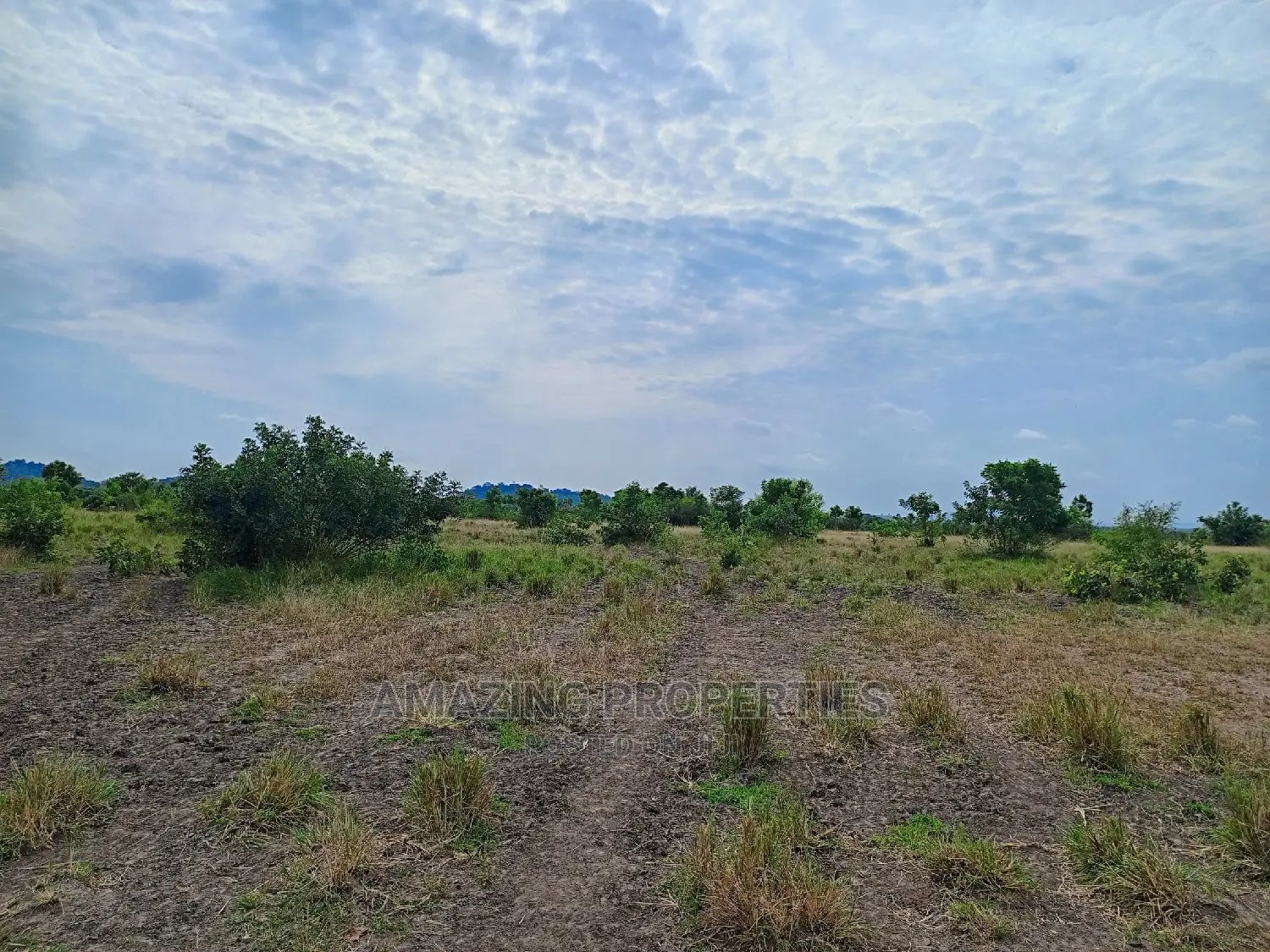 100acres of Land Available for Sale at Akuse Junction
