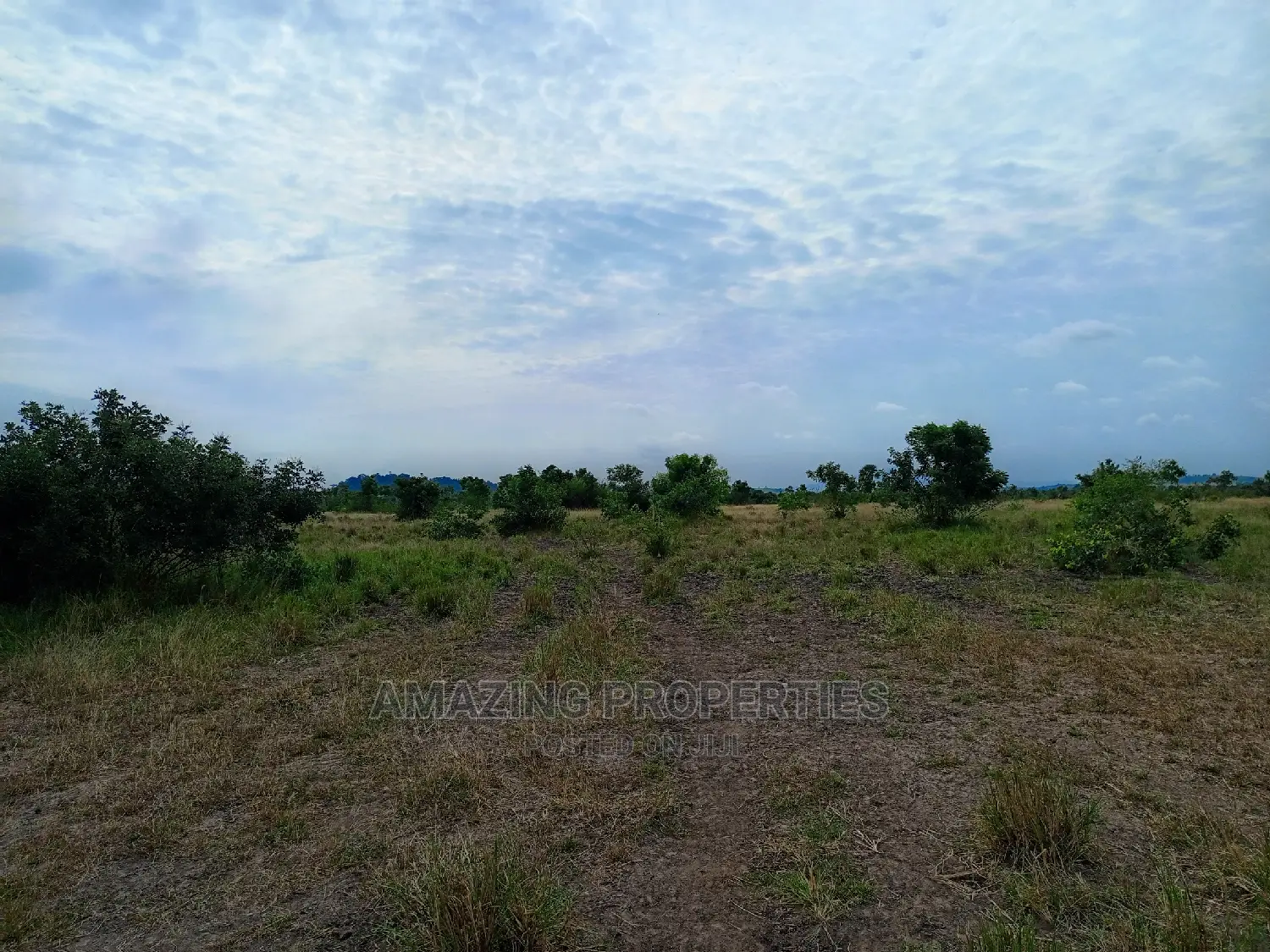 100acres of Land Available for Sale at Akuse Junction