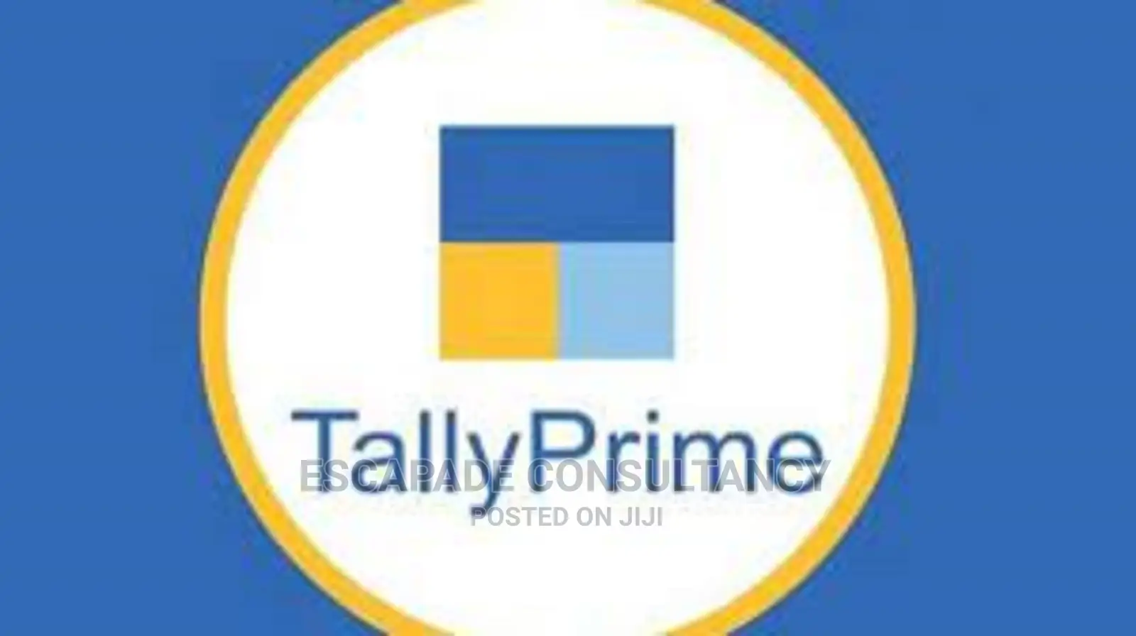 Accounting and Business Management Software Training
