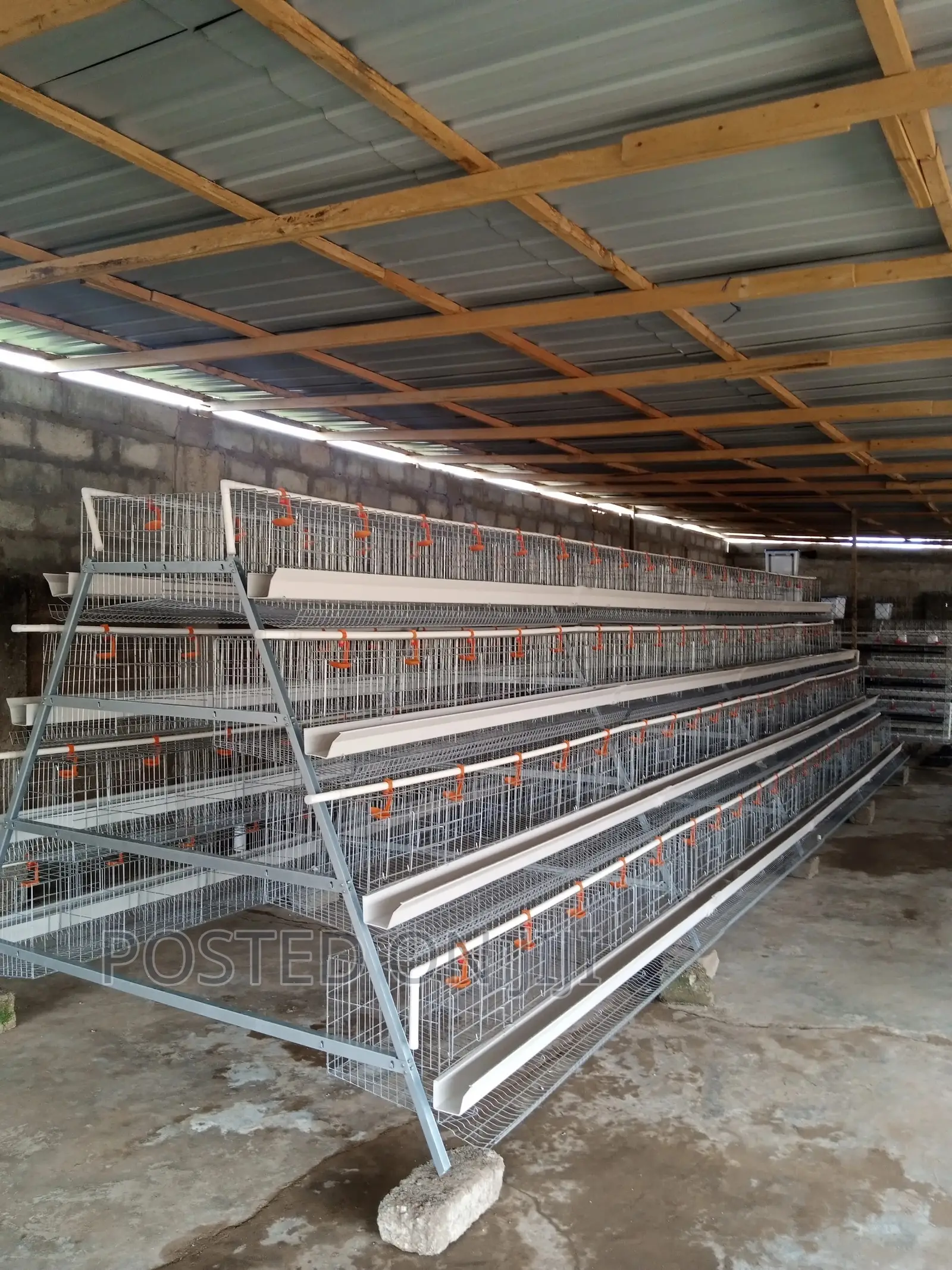 Poultry Chicken Cage