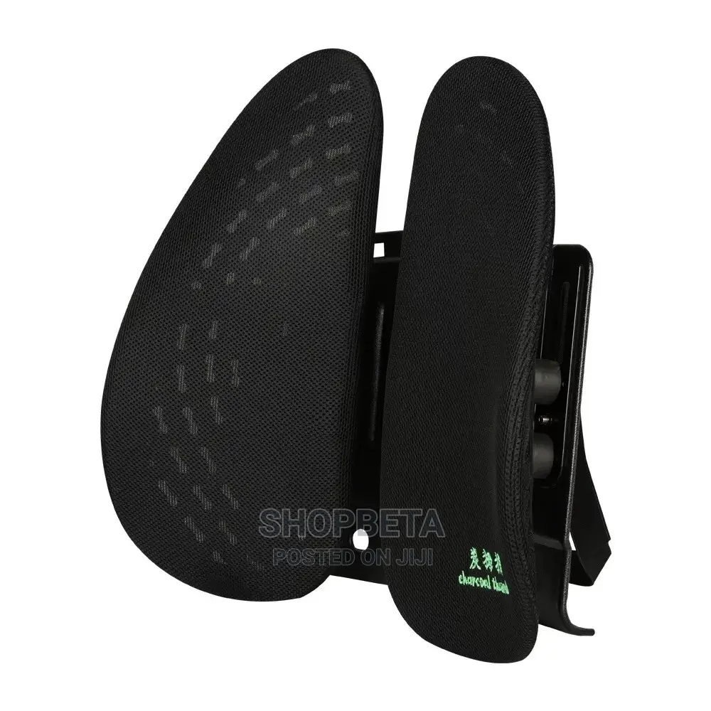 Best Back Lumbar Support
