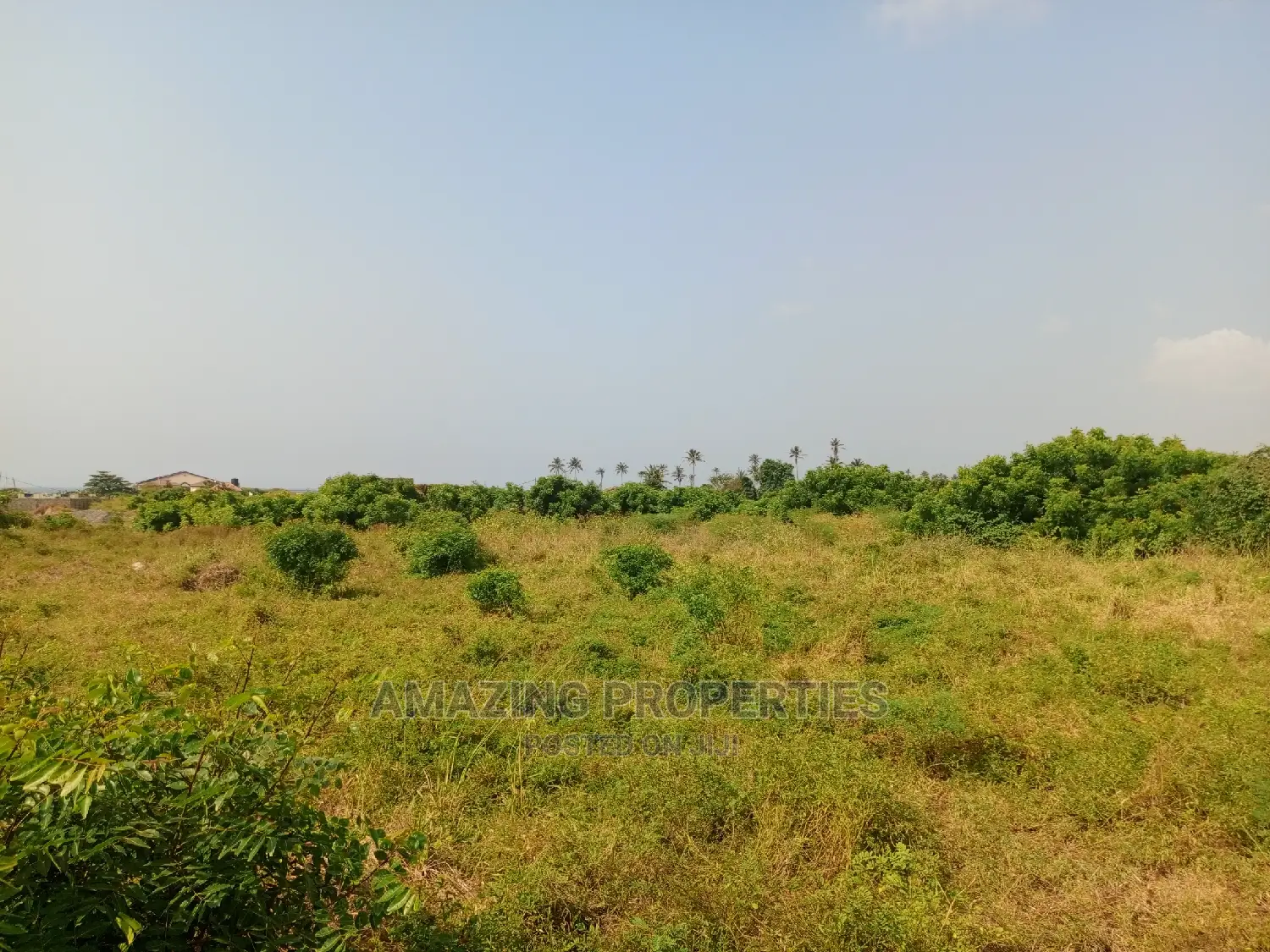 60acres of Main Roadside Land for Sale at Tsopoli Aflao