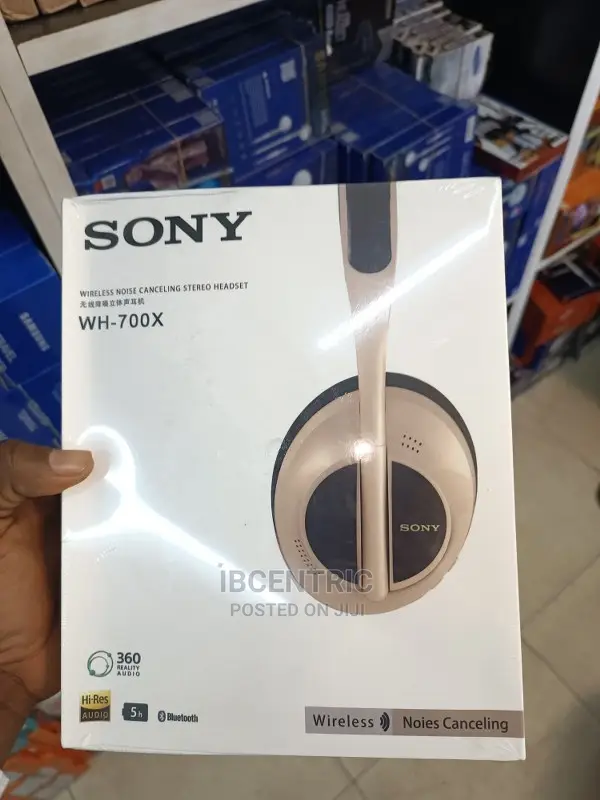 Sony Wireless Headphone