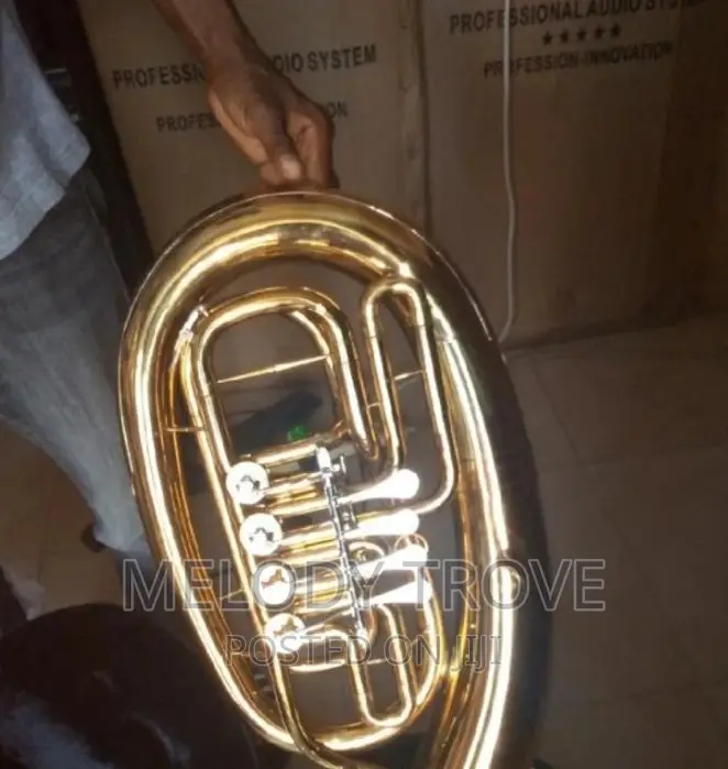 Olympic French Horn Gold