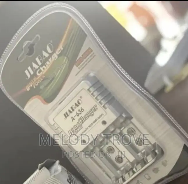 Jiabao Battery Charger