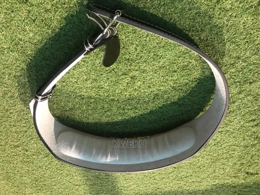 Weight Lifting Belt