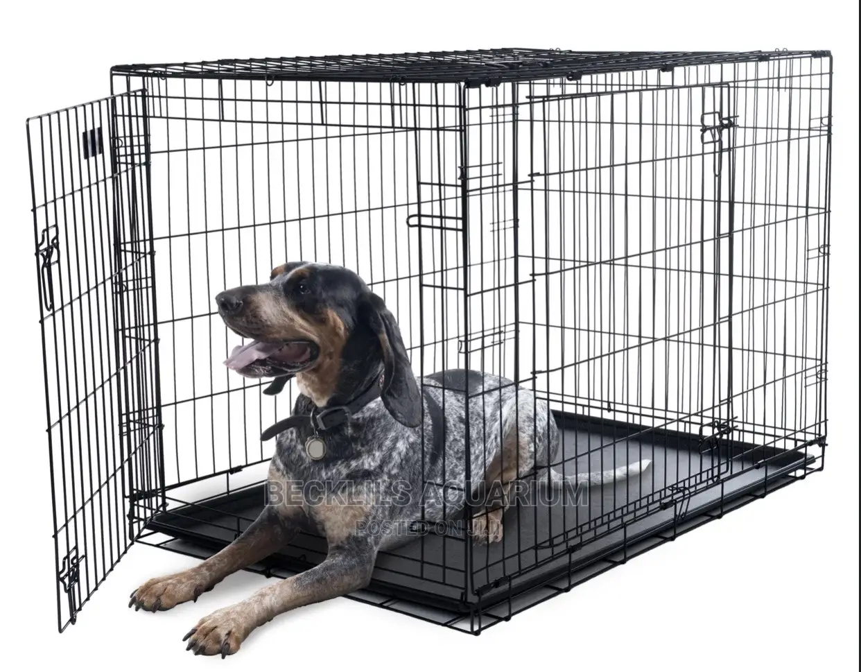 Quality 36 Inches Dog Cages N More