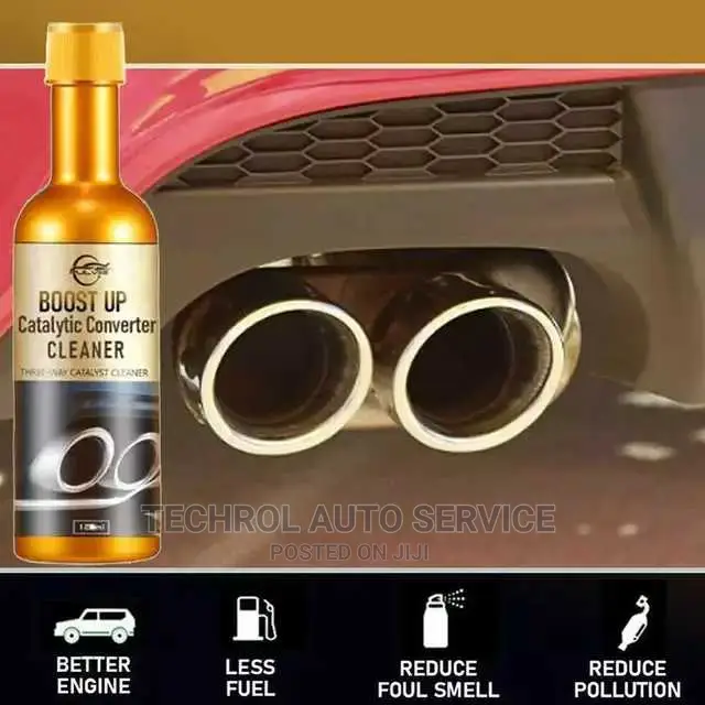 Fuel System Cleaner/Catalytic Cleaner