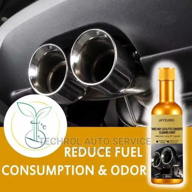 Fuel System Cleaner/Catalytic Cleaner