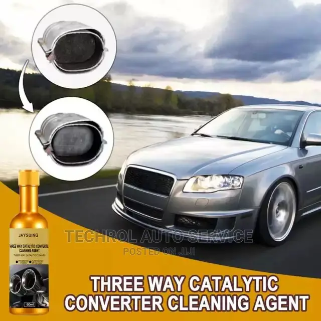 Fuel System Cleaner/Catalytic Cleaner
