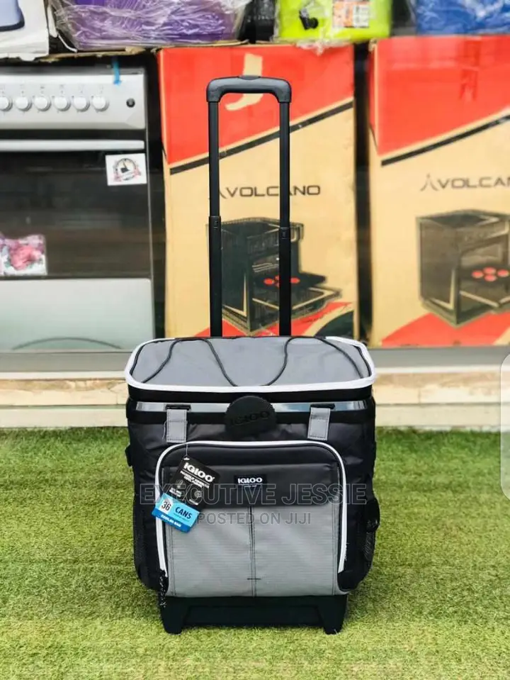 Igloo Cooler Bag