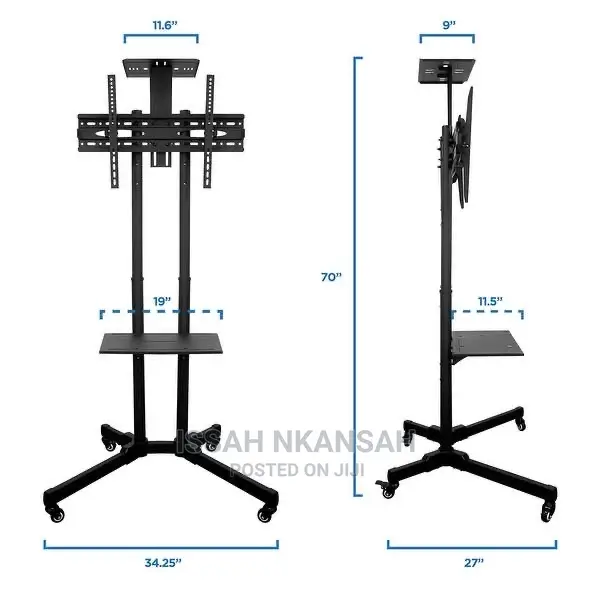 Mobile TVS Stand