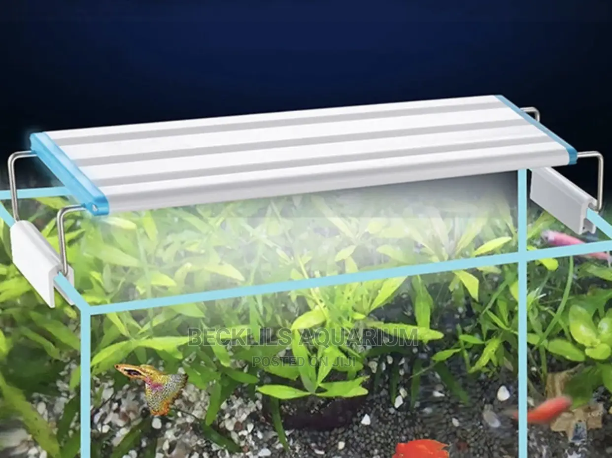 Aquarium Light