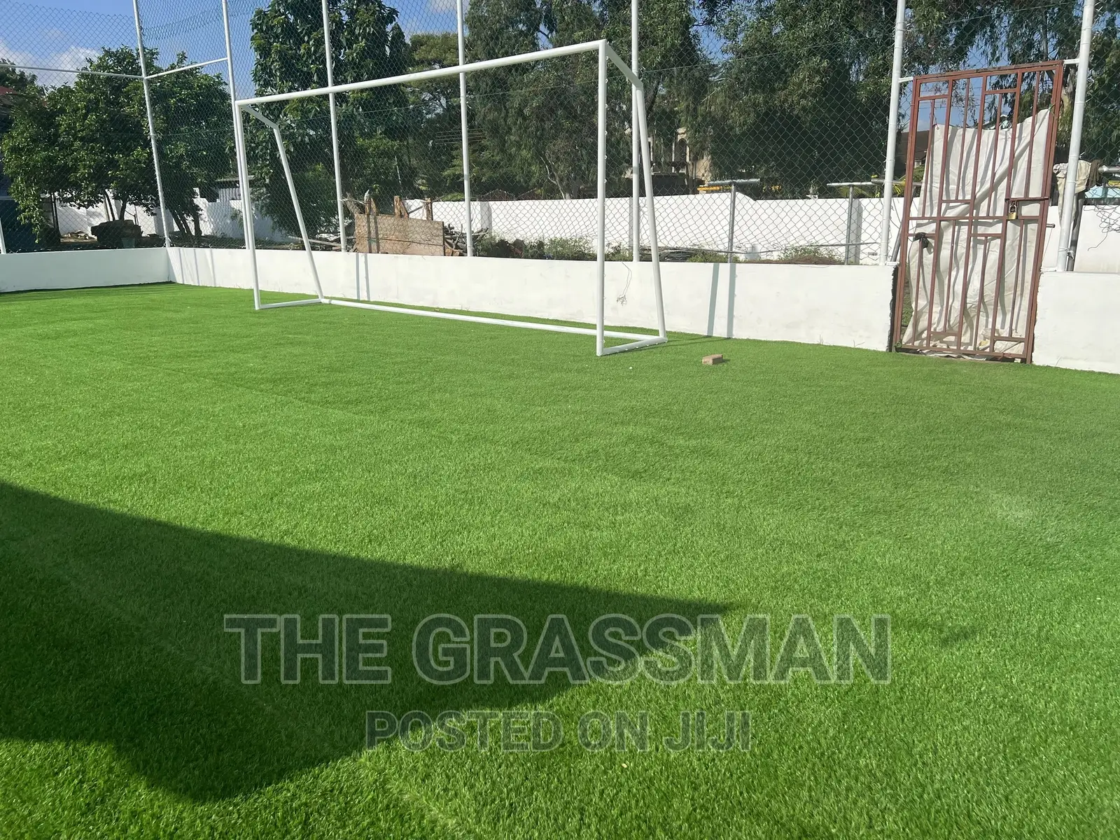 Green Grass For Modern Garden For Homes, Hotels