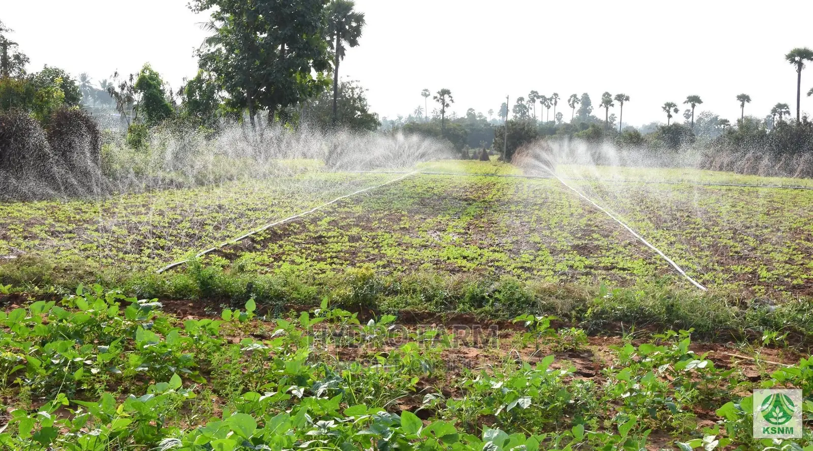 Rain Hose/Water for Me/Irrigation Hose