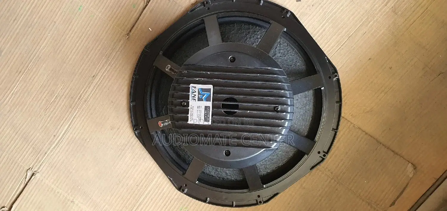 Fane 2400 Naked Speaker