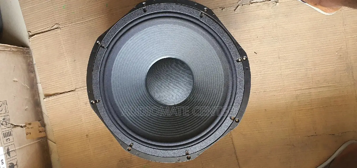 Fane 2400 Naked Speaker