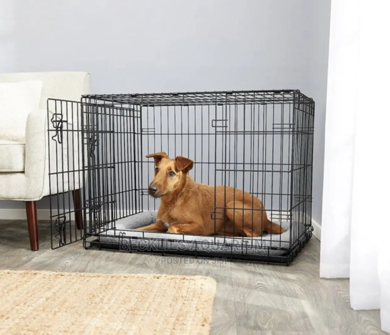 Quality and Affordable Dog Cage