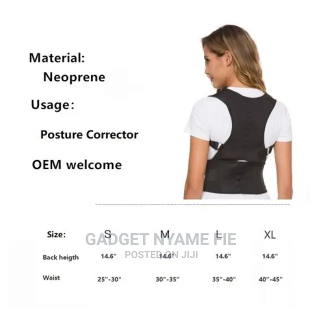 Back Support Belt