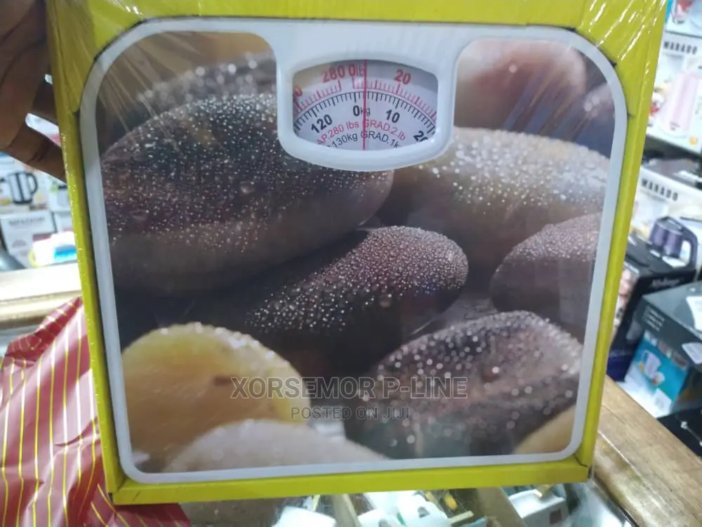 Personal Body Weight Scale