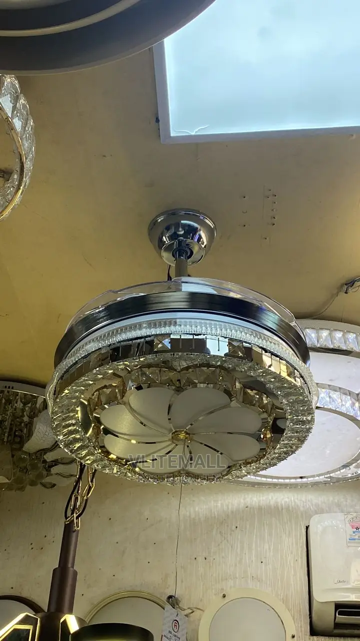 Ceiling Fan With Fancy Light