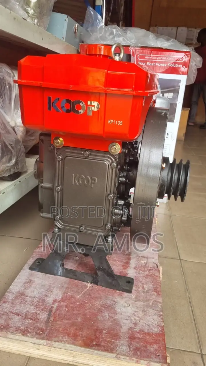 Zs1105 12 Horsepower Changfa Diesel Engine for Commercial Usage