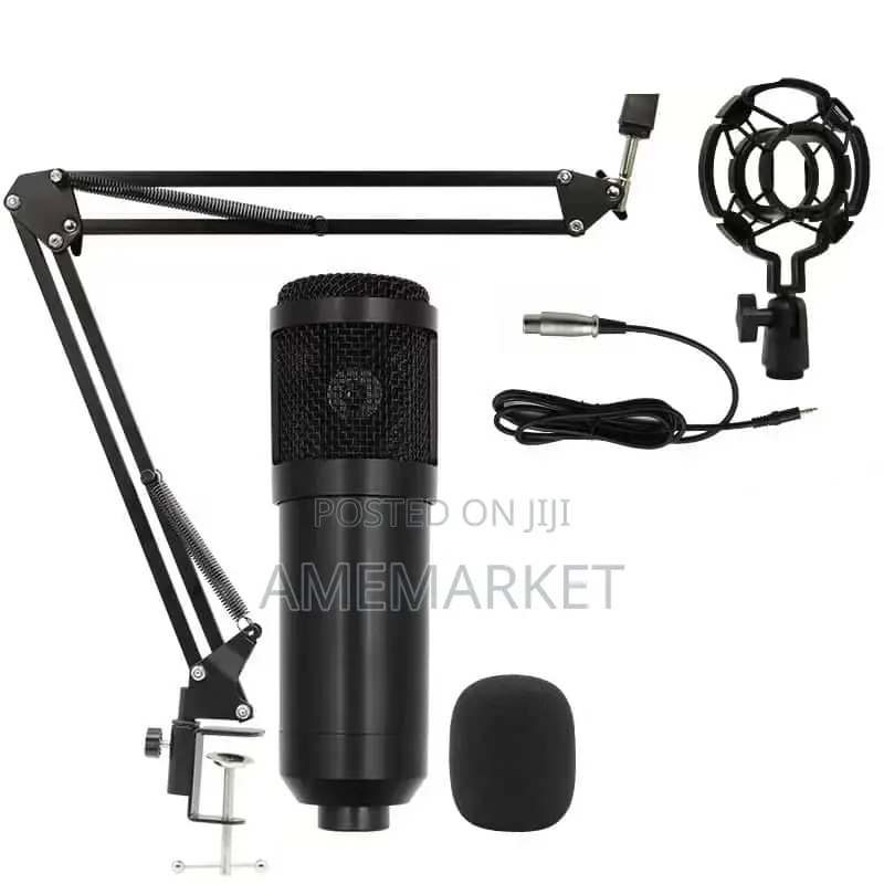 Professional BM800 Studio Condenser Microphone.