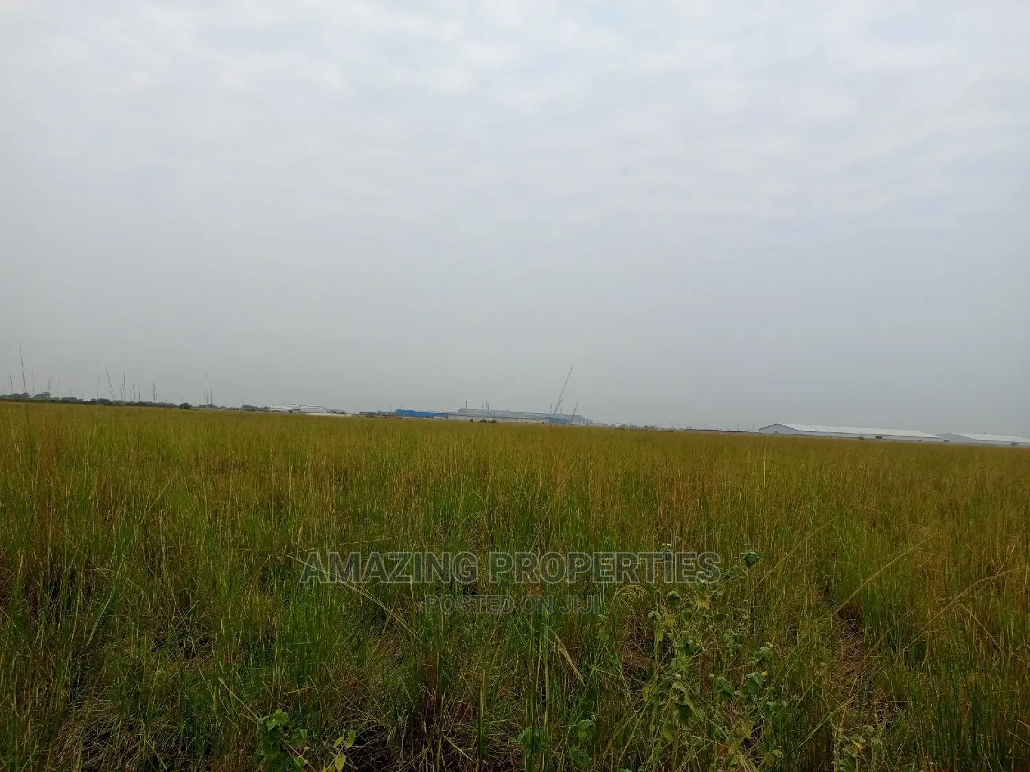 50 Acres of Land for Sale Central University Before B5