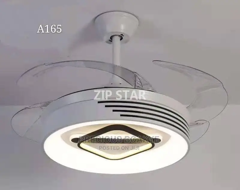Decorative Fan Light