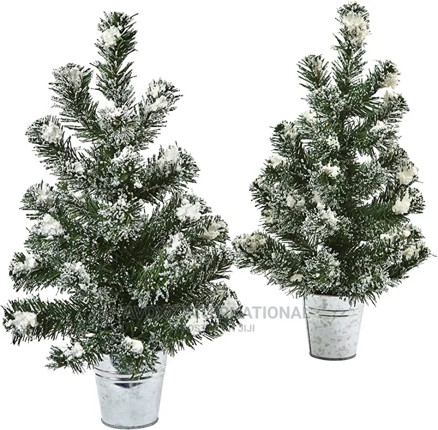 2 Pack 3’ Lighted Flocked Virginia Pine Trees