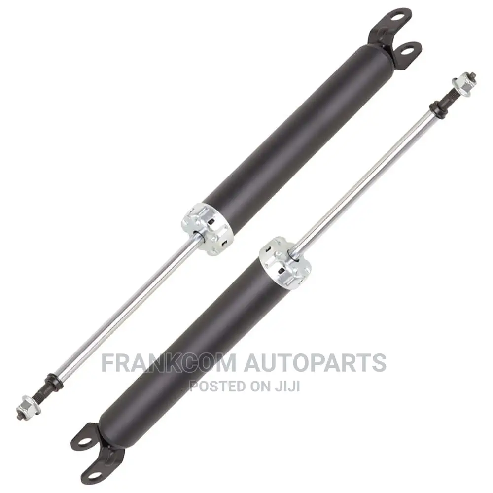 Hyundai Elantra 2008-2010 Back Shocks