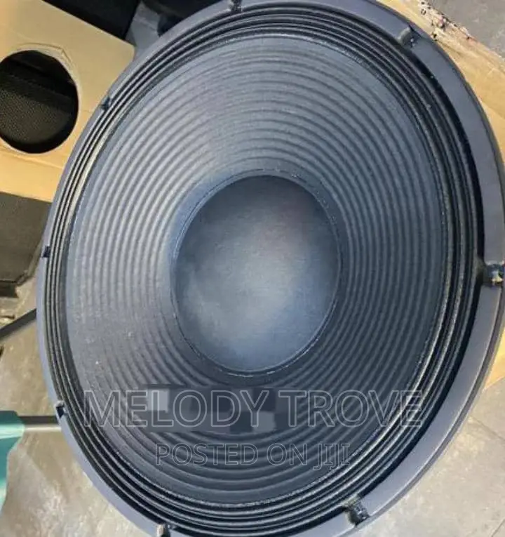 GLS Naked Speaker 15 Inches