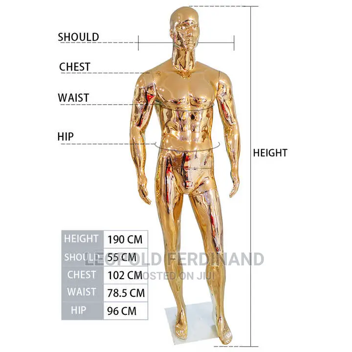 Male Gold Mannequins With Muscular Body