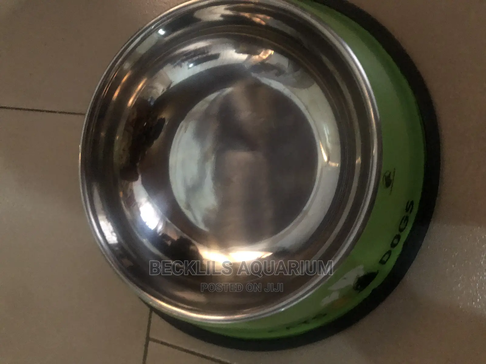 Quality Large Bowls for Dogs and Cat