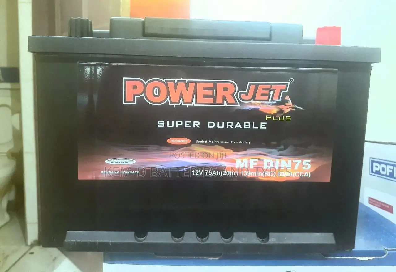 Toyota Rav4 Car Battery