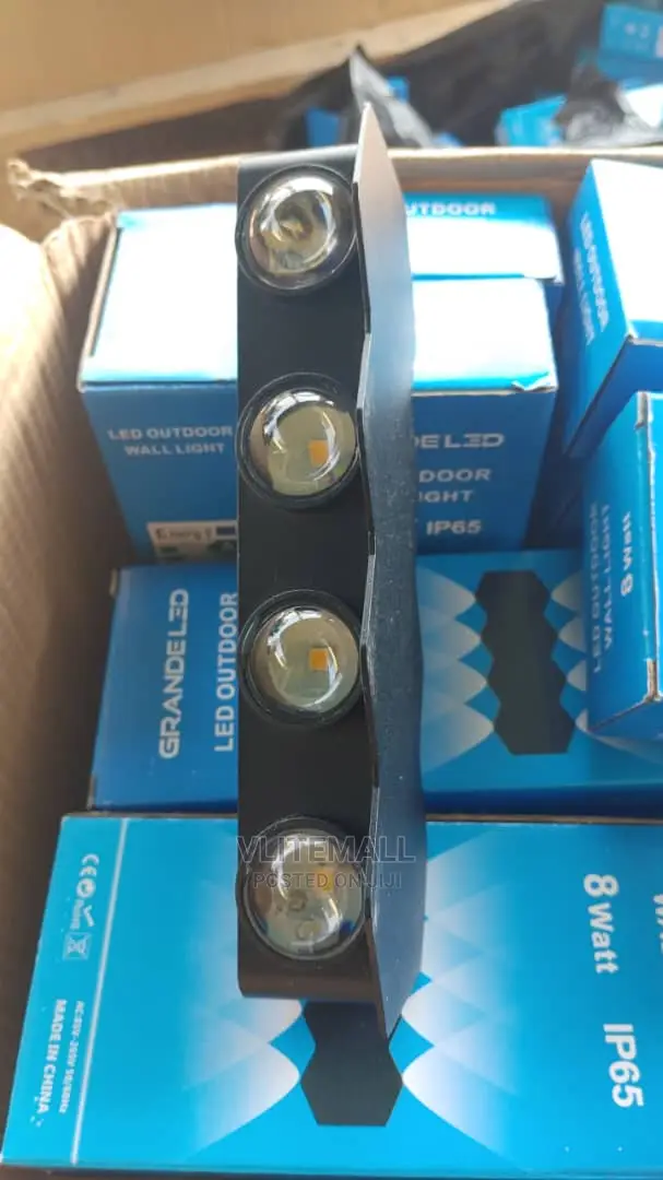 LED Outdoor Wall Light 8W