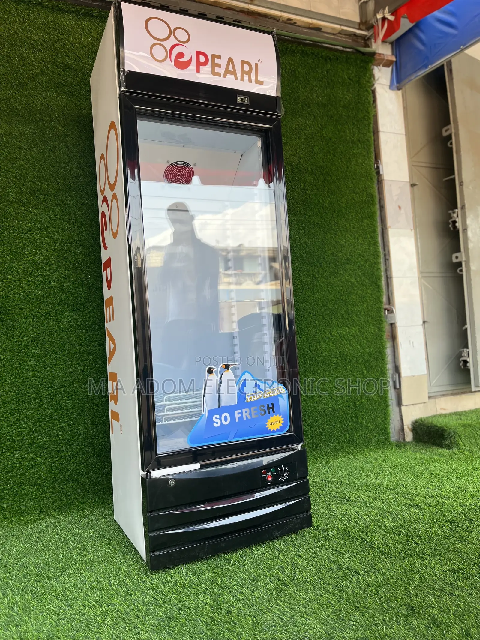 Fros Free Energy Saving Pearl 248 Litres Showcase Fridge