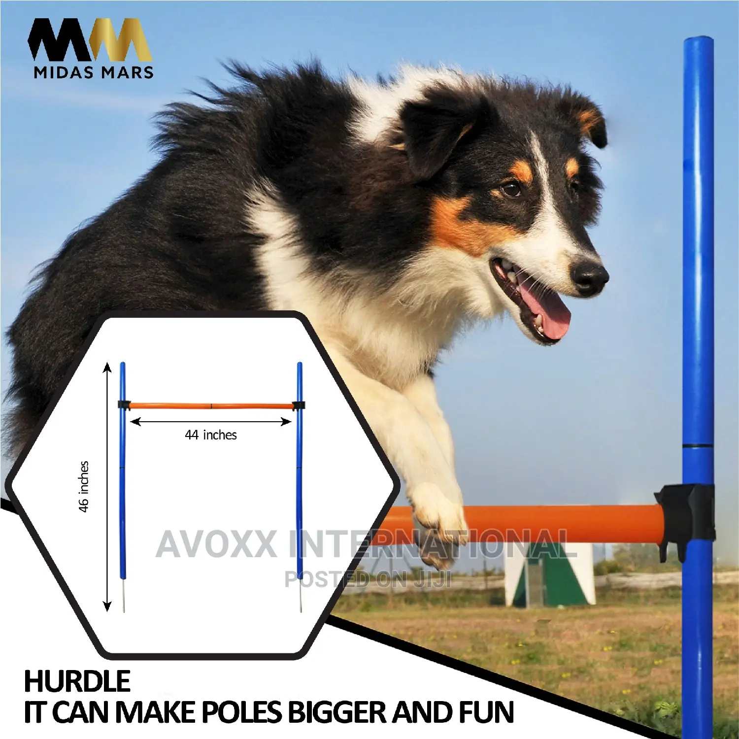 MIDAS MARS Dog Agility Equipment – Obstacle Course Training