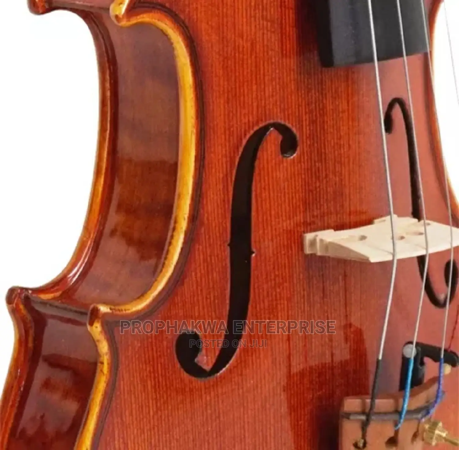 Christina Violin