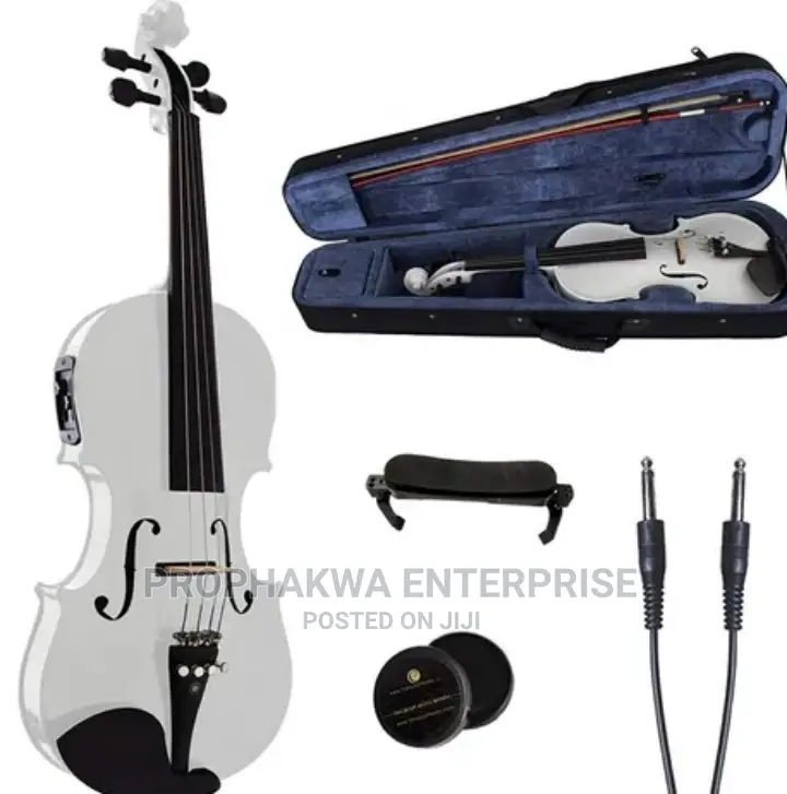 Olympic Semi Acoustic Violin
