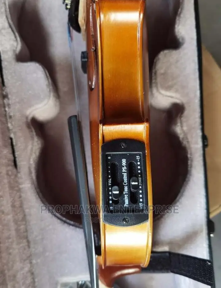 Olympic Semi Acoustic Violin