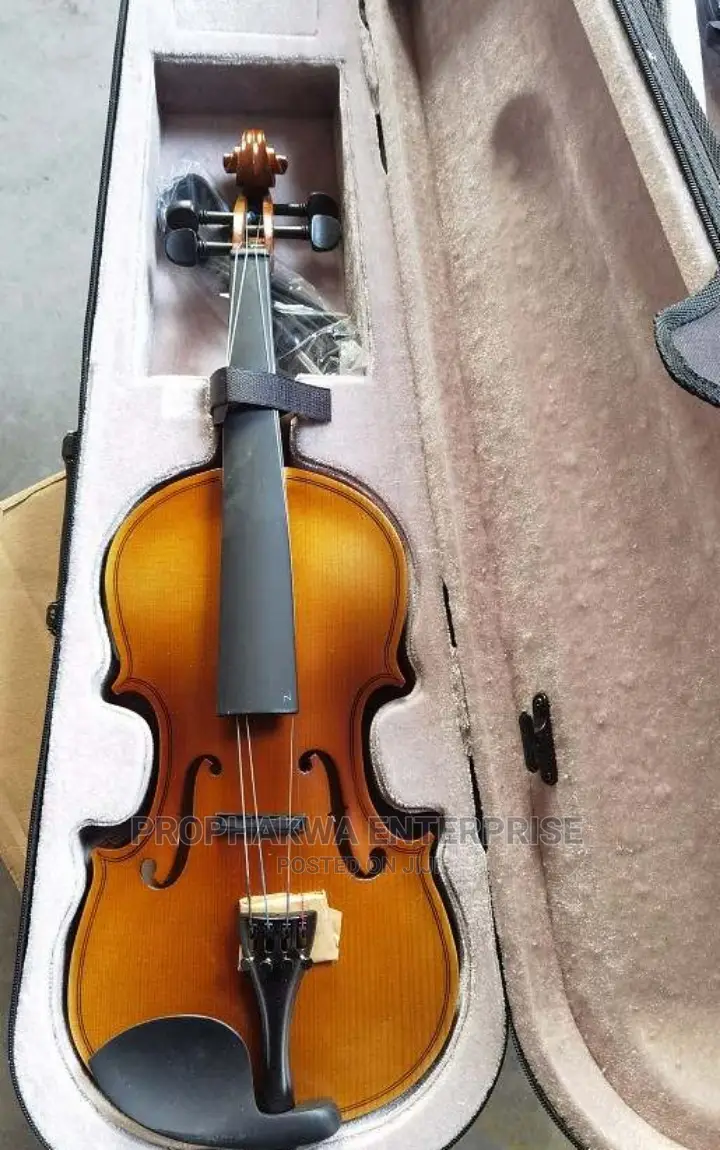 Olympic Semi Acoustic Violin