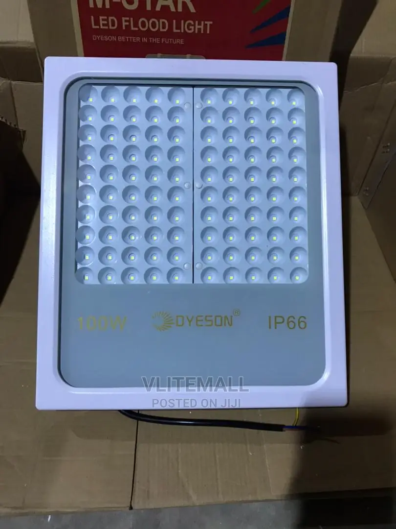 Dyeson 100W Flood Light