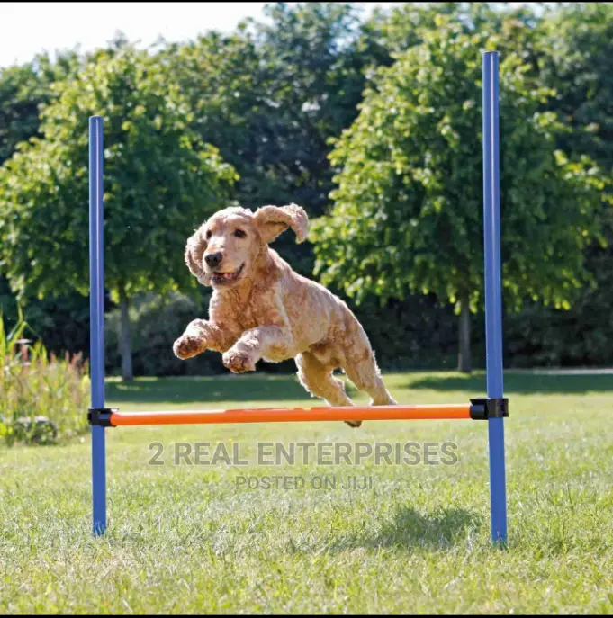 Dog Agility Hurdle