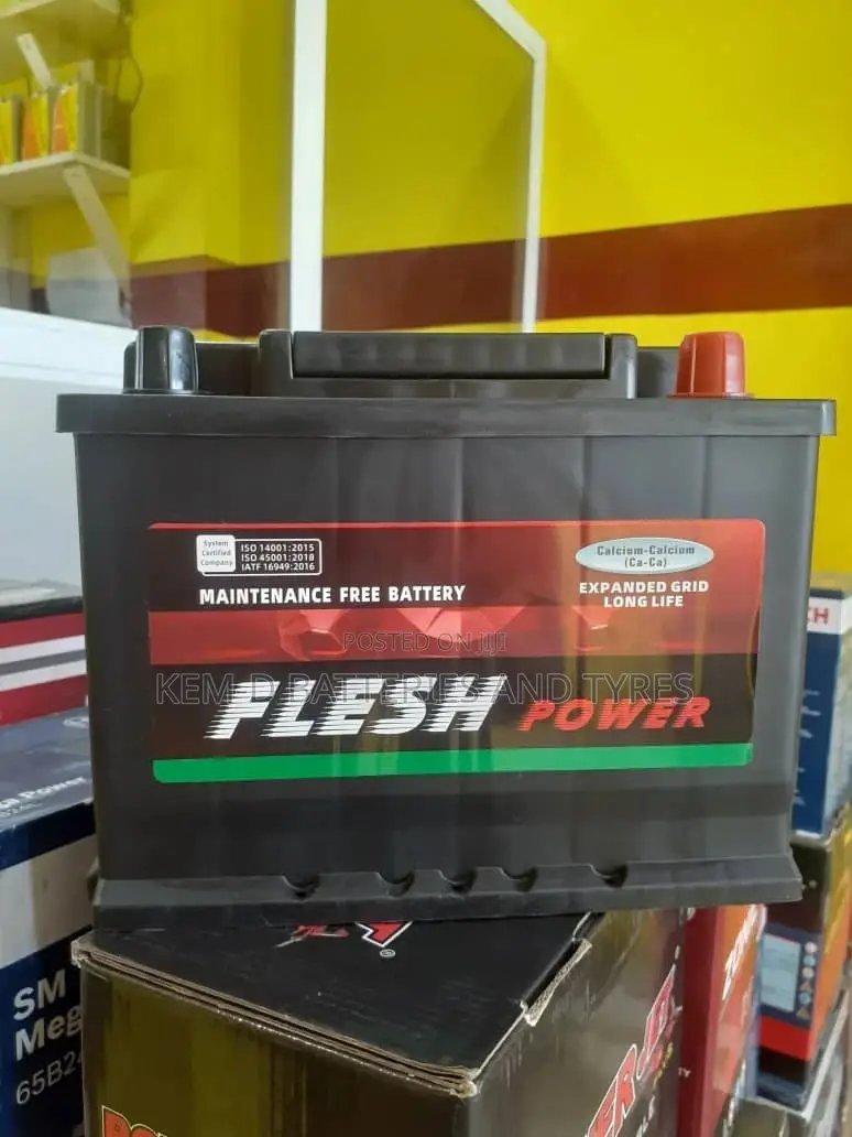 Flesh Power Battery 13 Plates