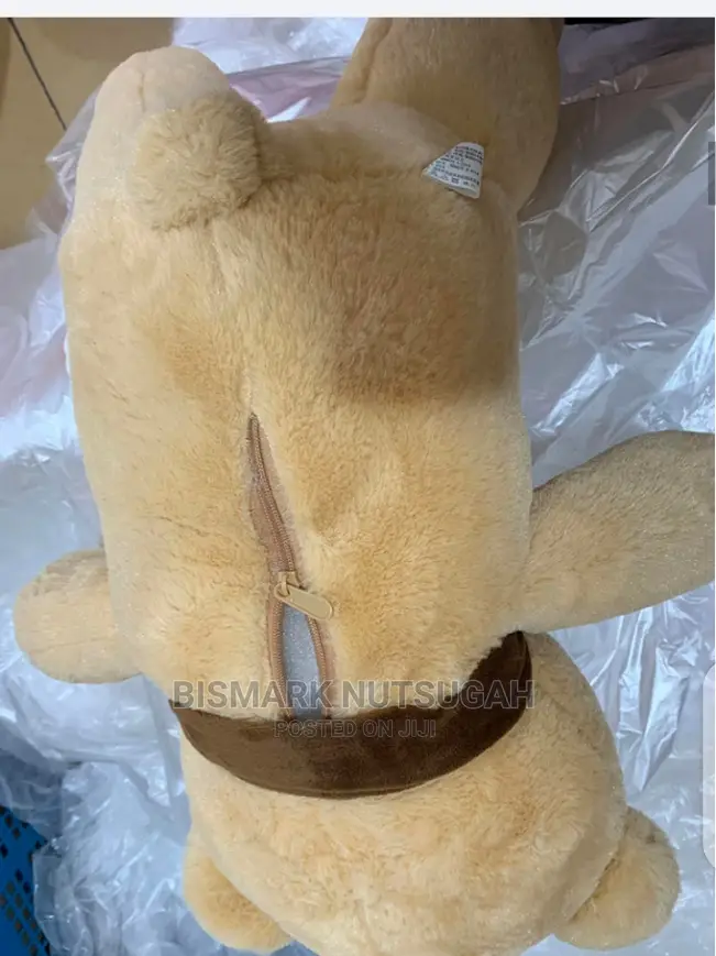 Teddy Bear for Sale