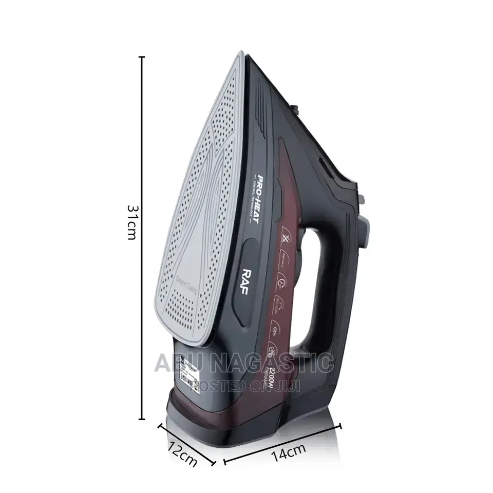 Professional Steamer Iron for Clothes
