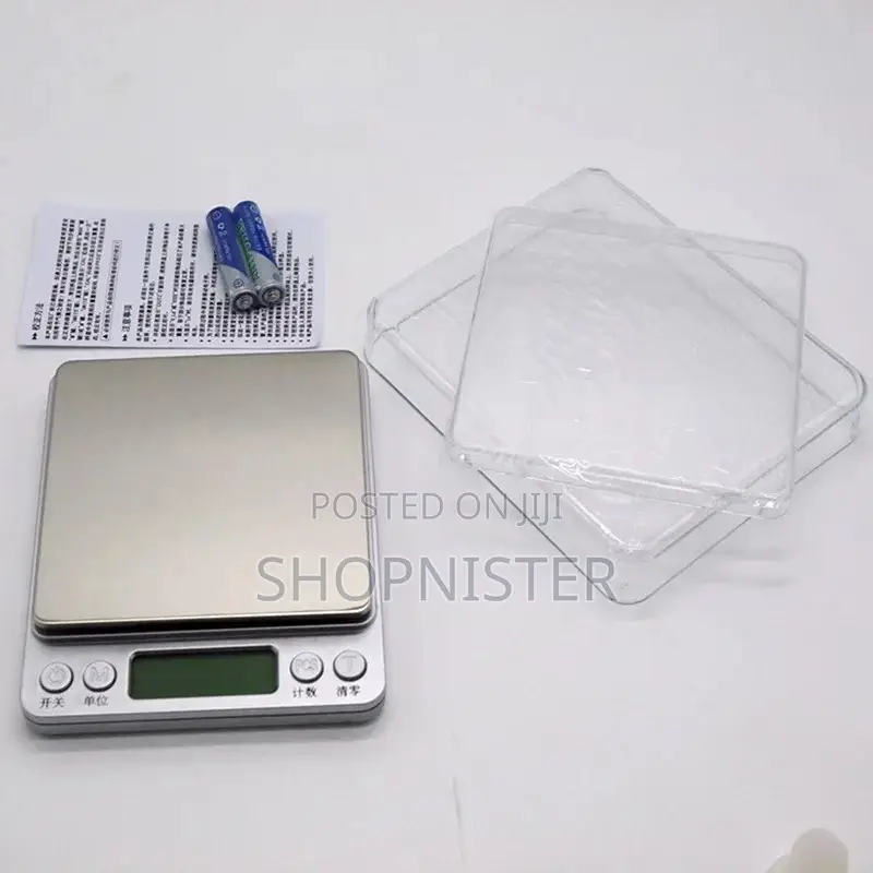 0.1kg Portable Digital Scale