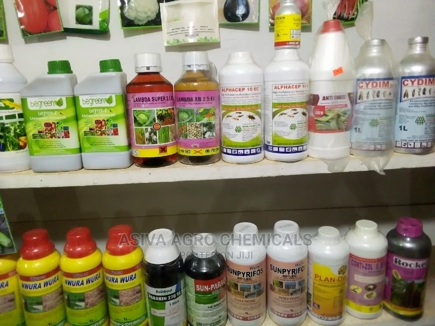 Pesticide and Insecticide
